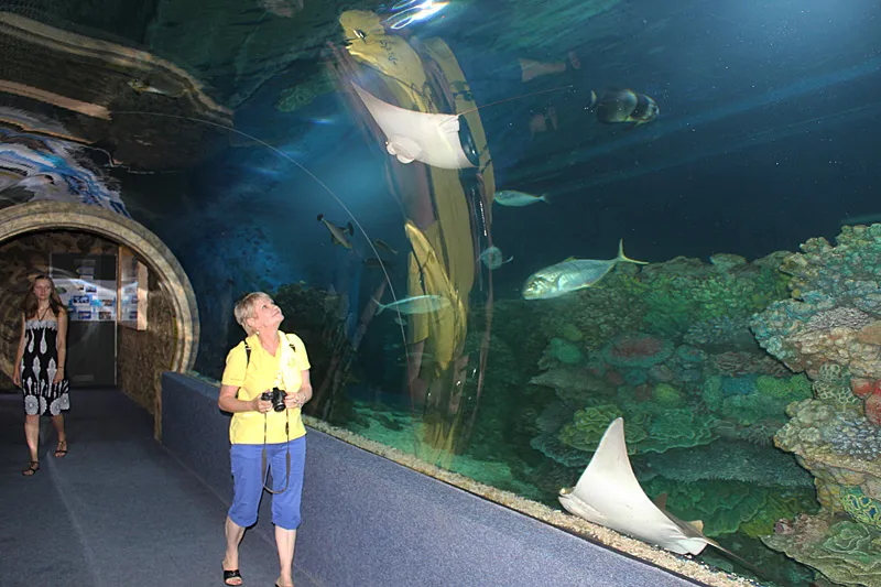 Zdjęcie Oceanarium w Nyíregyházie – Fascynujące atrakcje i informacje dla odwiedzających