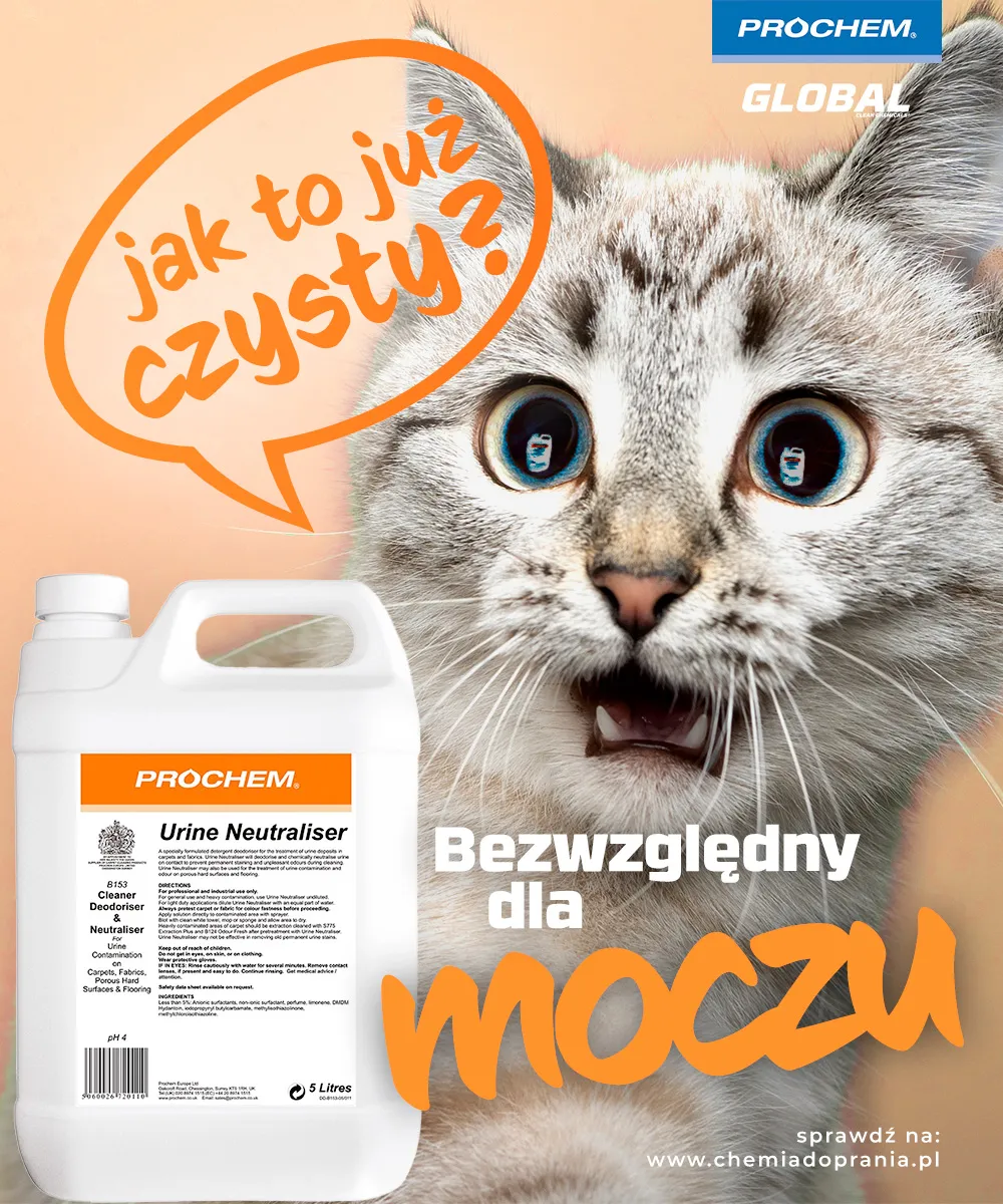 Zdjęcie Skuteczne sposoby na usunięcie starych plam z moczu z kanapy – sprawdzone metody