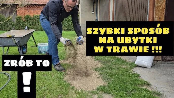 Zdjęcie Jak naprawić trawnik i przywrócić mu zdrowy wygląd w prostych krokach