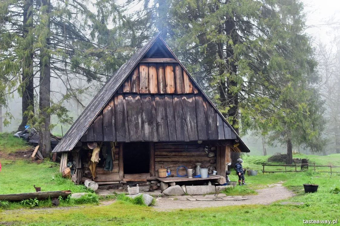 Zdjęcie Bacówka Zakopane Oscypki – autentyczne smaki Tatr czekają na Ciebie