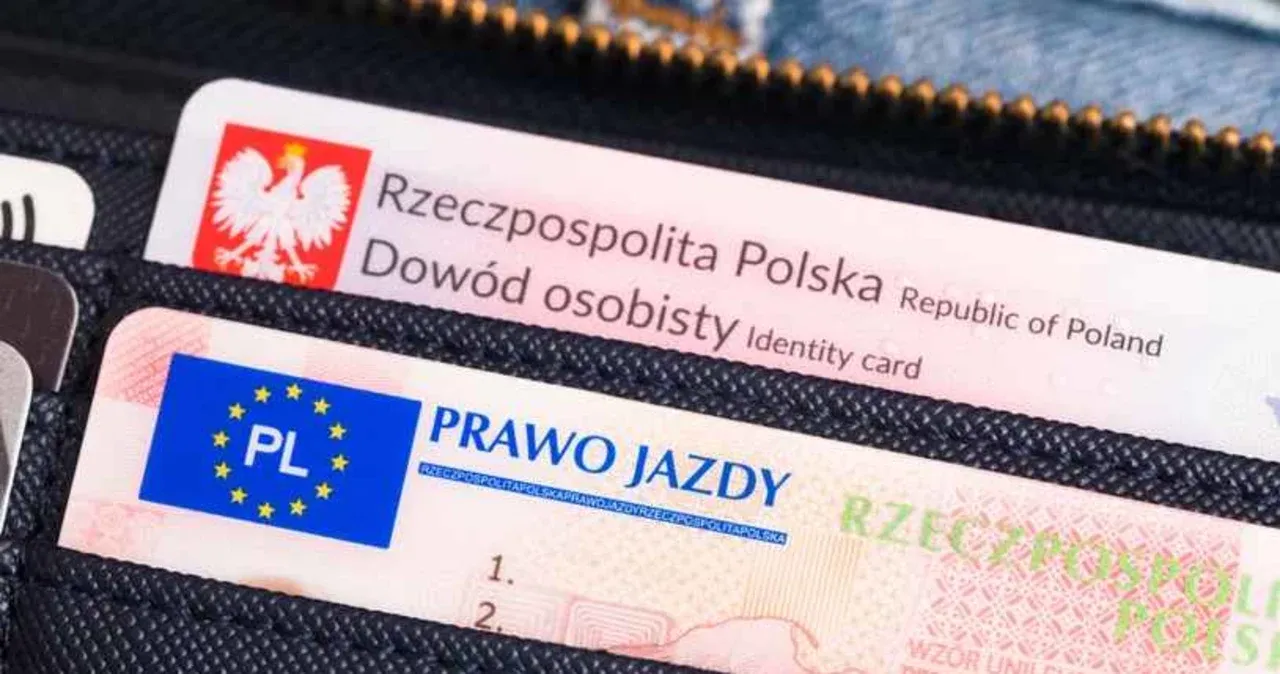 Zdjęcie Jak sprawdzić status prawa jazdy i uniknąć nieprzyjemności?