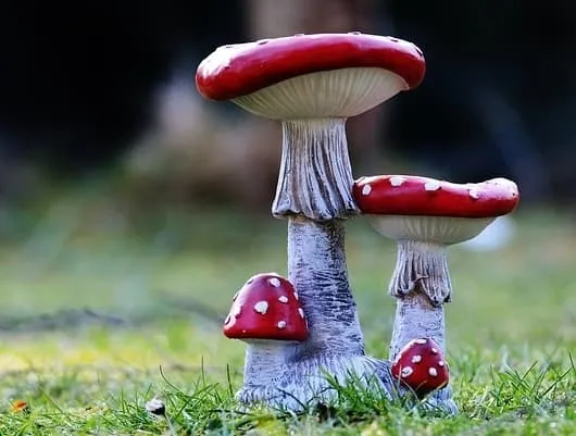 Zdjęcie Jak zrobić ozdoby z cementu do ogrodu - proste i efektowne pomysły