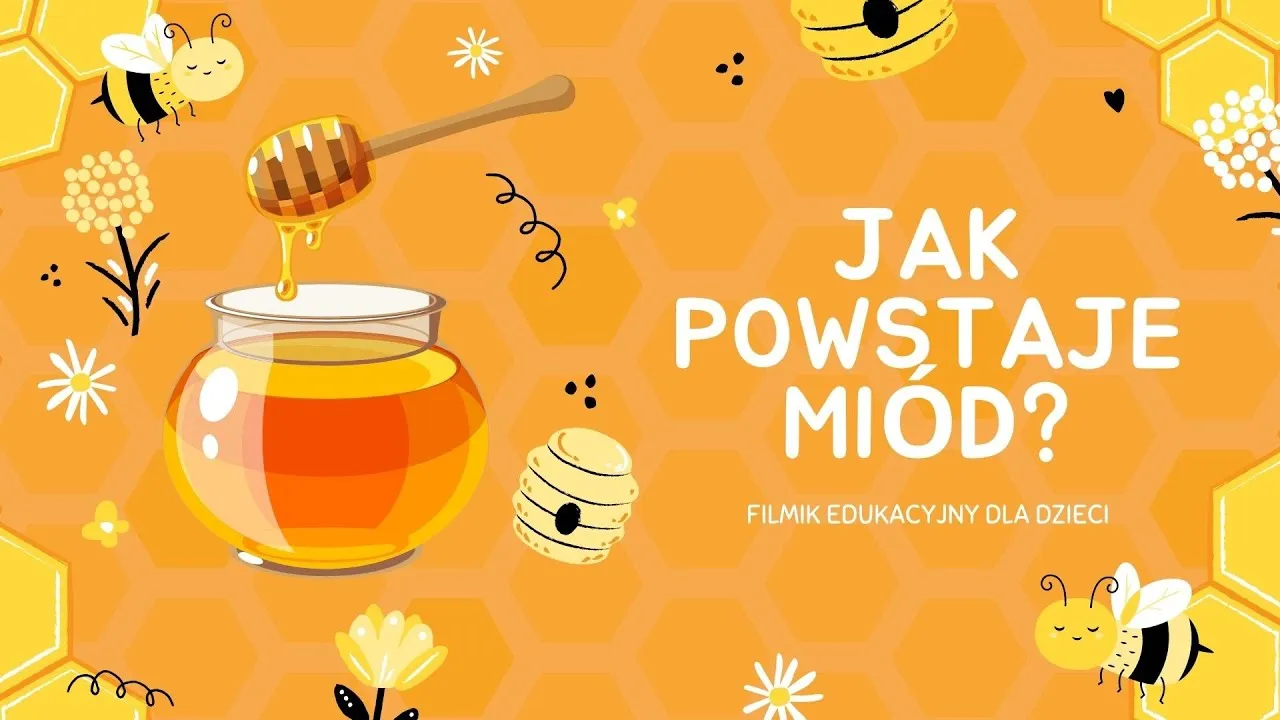 Zdjęcie Jak powstaje miód? Odkryj tajemnice produkcji tego słodkiego skarbu