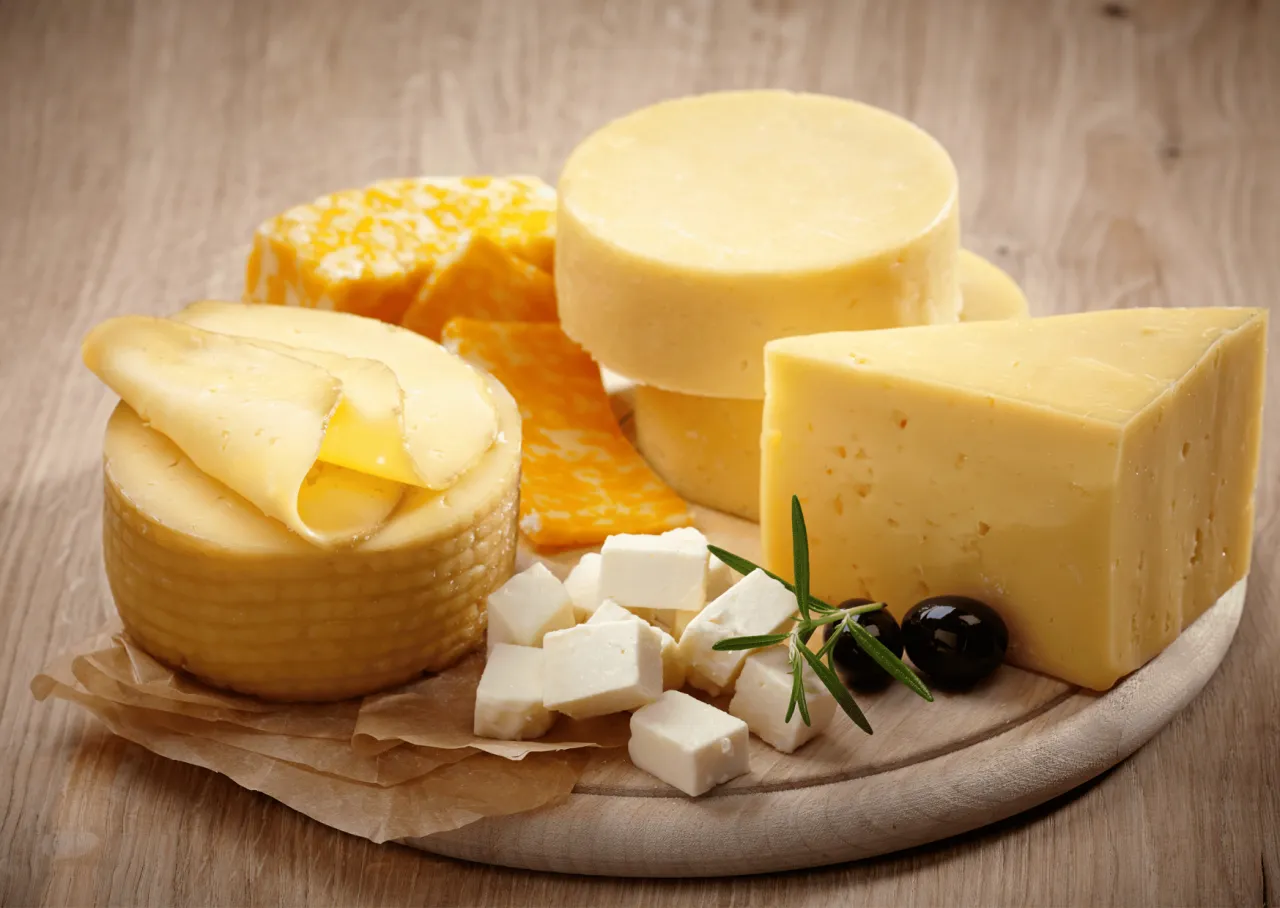 Zdjęcie Czy pies może jeść ser camembert? Sprawdź ryzyko i zasady dawkowania