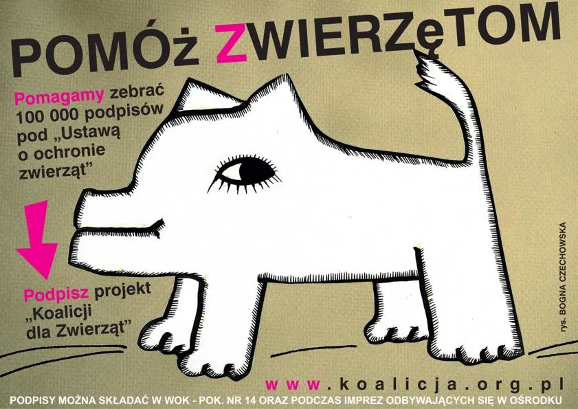 Zdjęcie Jak zostać wolontariuszem w schronisku? Pomóż zwierzętom już dziś