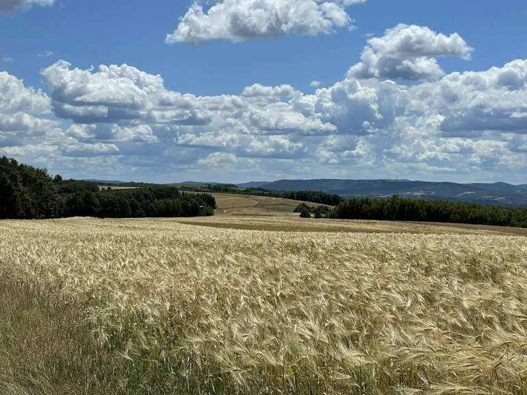 Zdjęcie Ropczyce atrakcje - odkryj nieznane miejsca i piękne krajobrazy