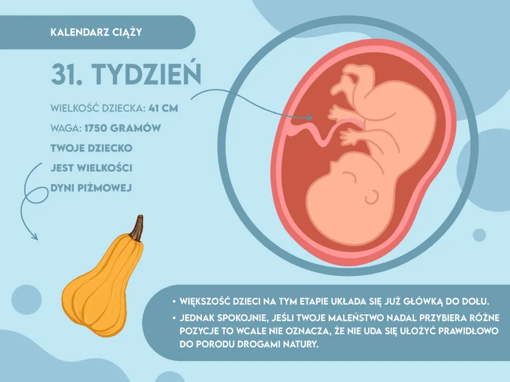 Zdjęcie Ile waży dziecko w 31 tyg ciąży? Zaskakujące fakty o wadze płodu