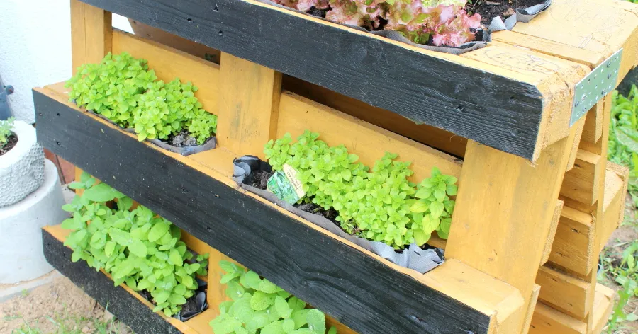 Zdjęcie Jak zrobić kwietnik z palet - proste kroki na piękny ogród