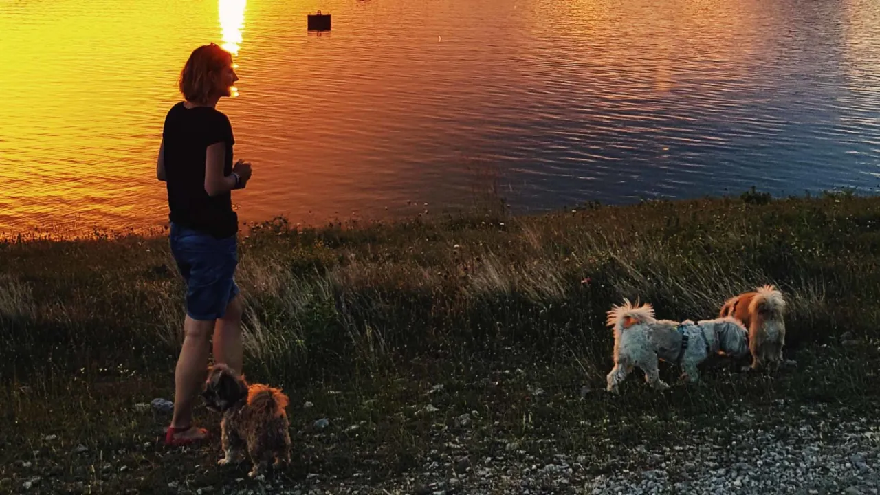 Zdjęcie Mój przyjaciel pies wiersz - odkryj piękno przyjaźni z psem