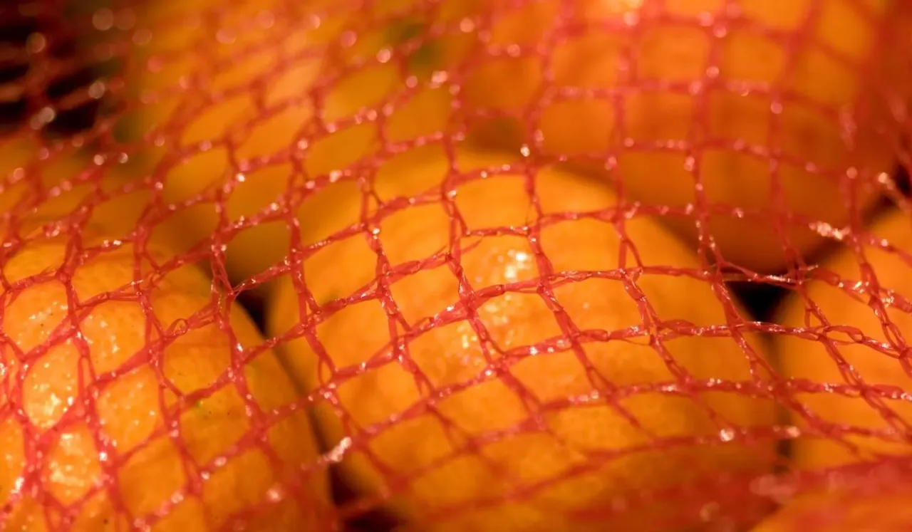 Zdjęcie Kiedy jest sezon na mandarynki? Sprawdź, by nie przegapić smakowitych owoców