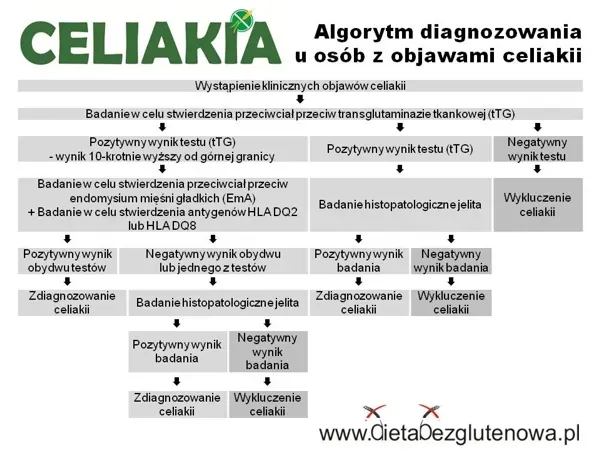Zdjęcie Celiakia - jakie badania pomogą w prawidłowej diagnozie choroby?