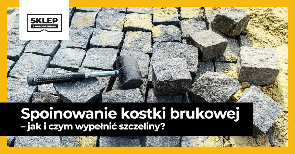 Zdjęcie Czym wypełnić kostkę brukową, aby uniknąć problemów z wilgocią?