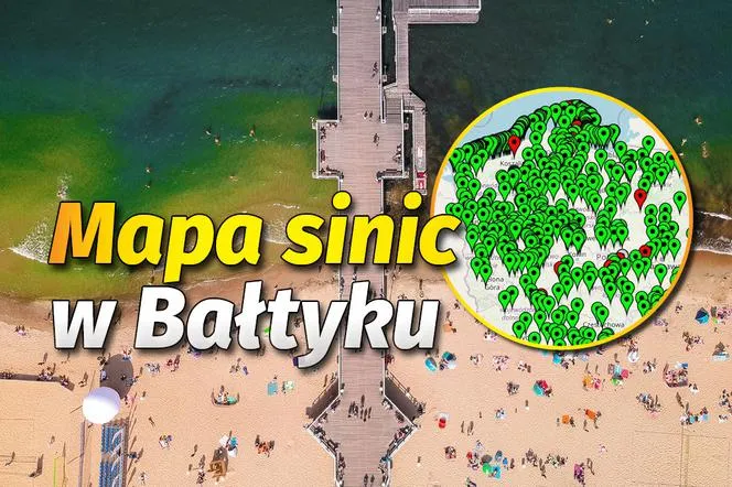 Zdjęcie Gdzie sinice w Bałtyku? Sprawdź, gdzie są najgroźniejsze zakwity