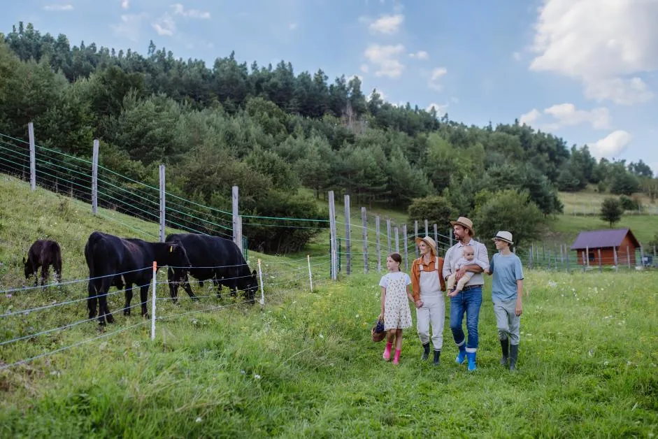 Zdjęcie Agroturystyka jakie podatki: uniknij nieprzyjemnych niespodzianek podatkowych