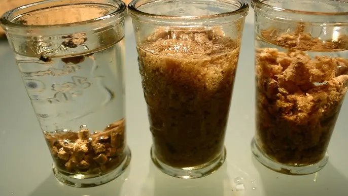 Zdjęcie Jak sprawdzić jakość pelletu, aby uniknąć kosztownych błędów