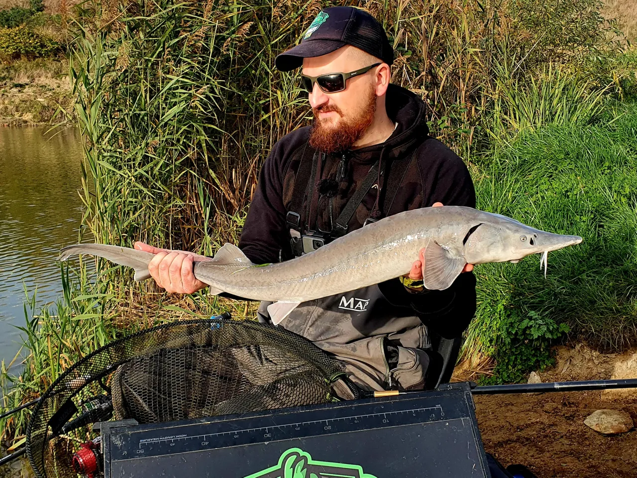 Zdjęcie Najlepsze przynęty na jesiotra – uniknij nieudanych połowów