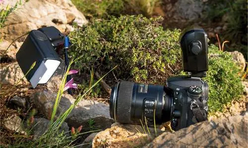 Zdjęcie Najlepsze obiektywy makro do Nikon D7100 - porównanie i wybór