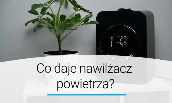 Zdjęcie Czy warto kupić nawilżacz powietrza? Odkryj jego zdrowotne korzyści
