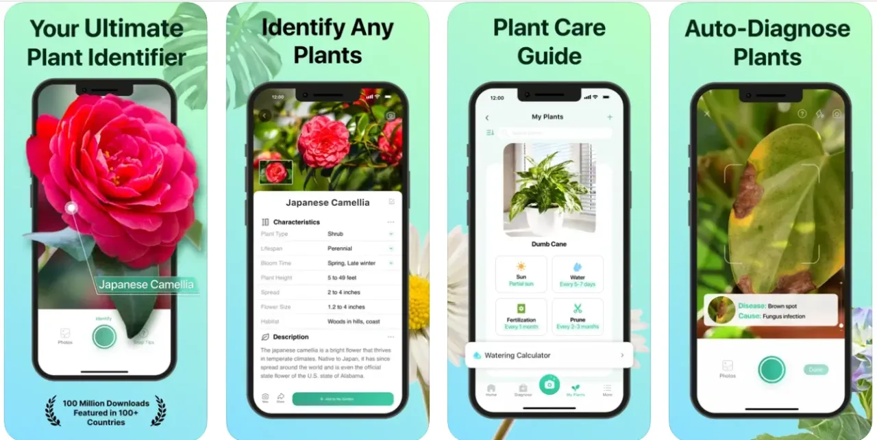 Zdjęcie Jak rozpoznać kwiaty? Aplikacje, atlasy i porady ekspert&oacute;w