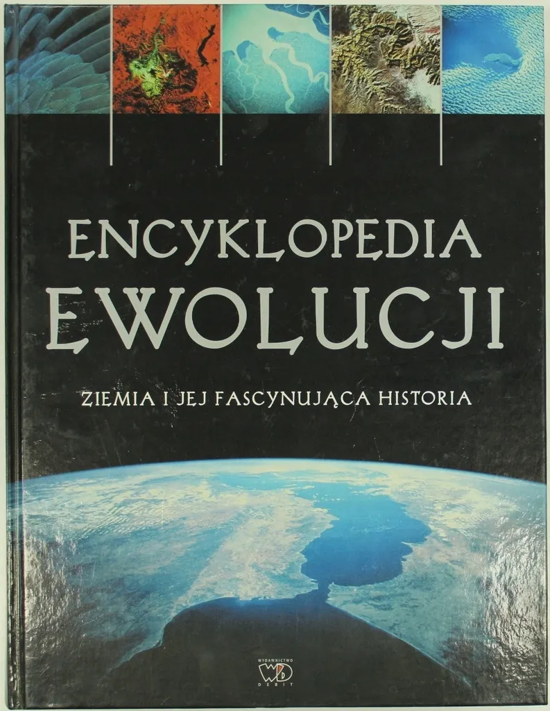 Zdjęcie Kto wynalazł okno? Fascynująca historia ewolucji architektury