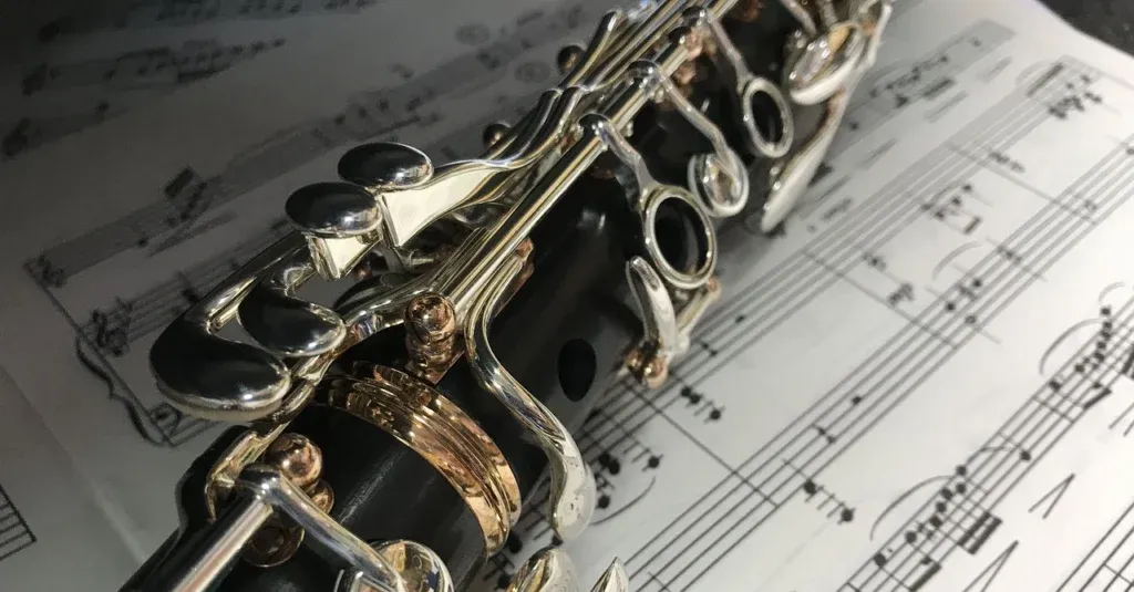 Zdjęcie Sekcja dęta - charakterystyka instrumentów i rola w orkiestrze