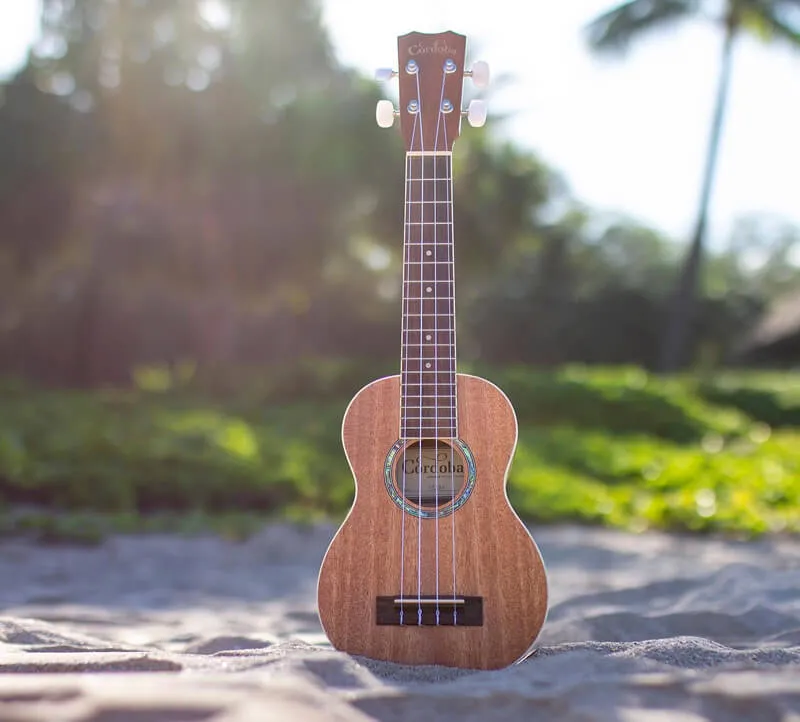 Zdjęcie Najlepsze firmy ukulele dla początkujących: przegląd popularnych marek