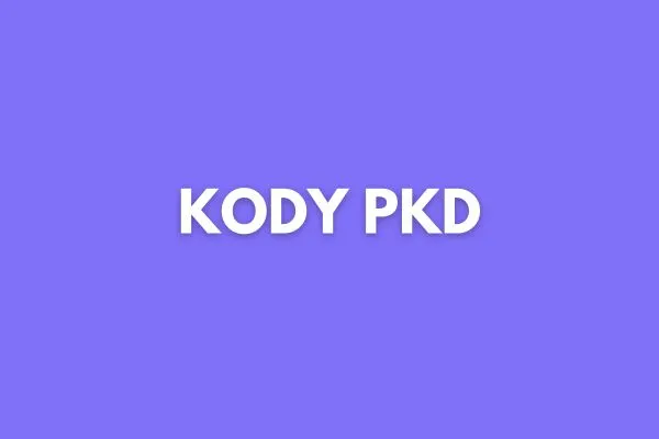 Zdjęcie Jak sprawdzić kod pkd swojej firmy i uniknąć błędów w rejestracji