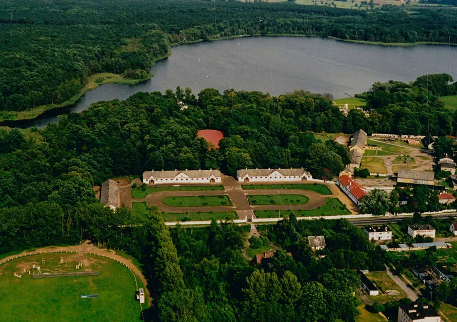 Zdjęcie Stado Ogierów w Łącku - historia, atrakcje i informacje dla odwiedzających