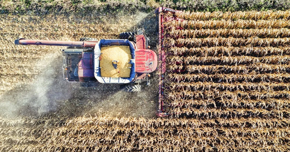 Zdjęcie Niemiecki traktor: Jak wybrać model i efektywnie wykorzystać w pracy?