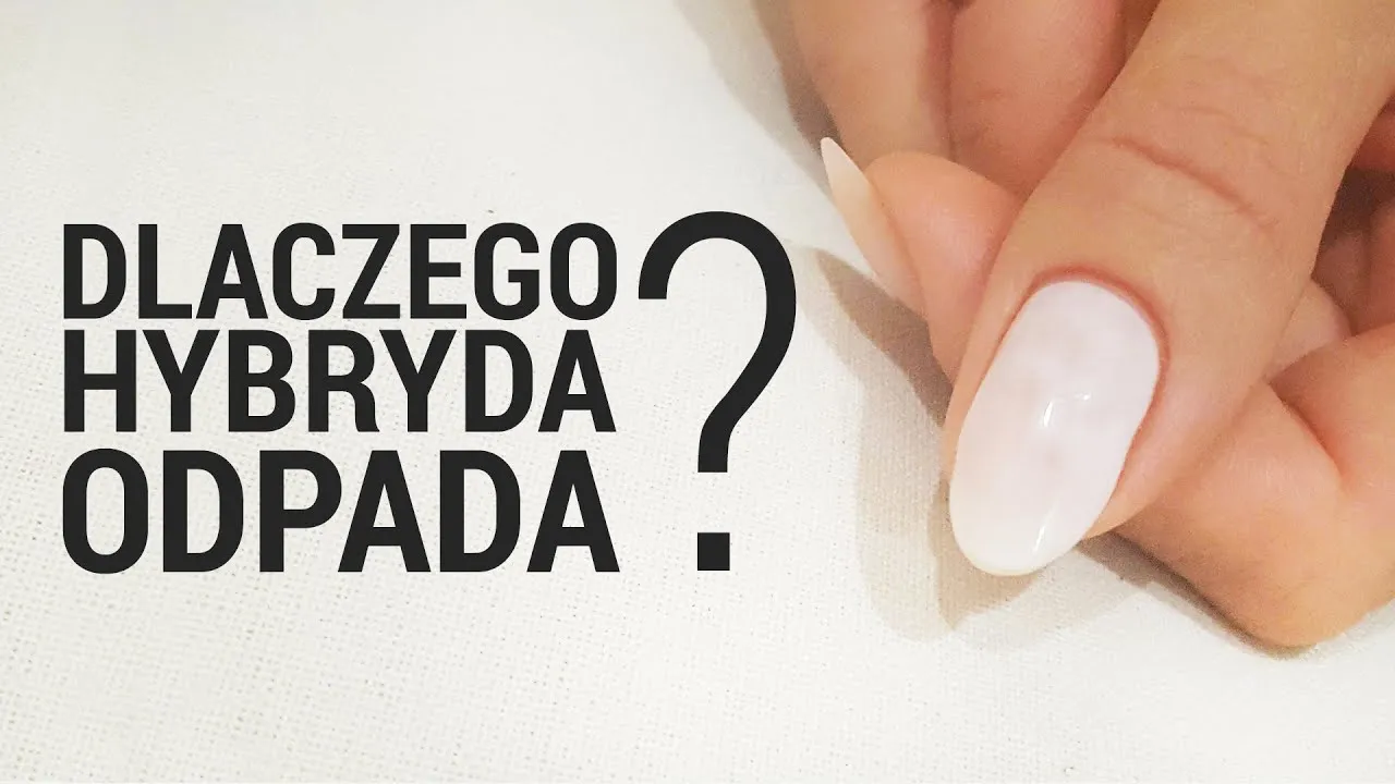 Zdjęcie Co zrobić, żeby hybryda nie odpadała? 7 skutecznych porad