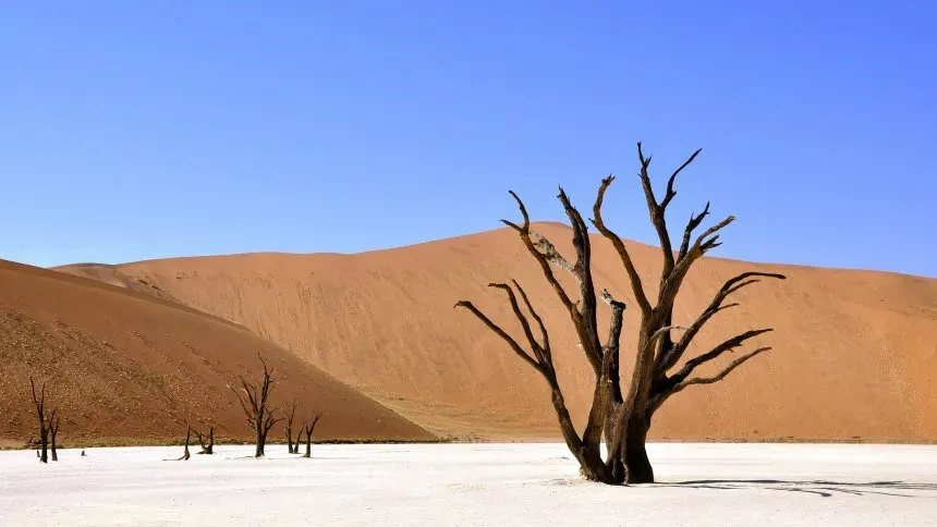 Zdjęcie Namibia kiedy jechać: najlepszy czas na niezapomnianą podróż
