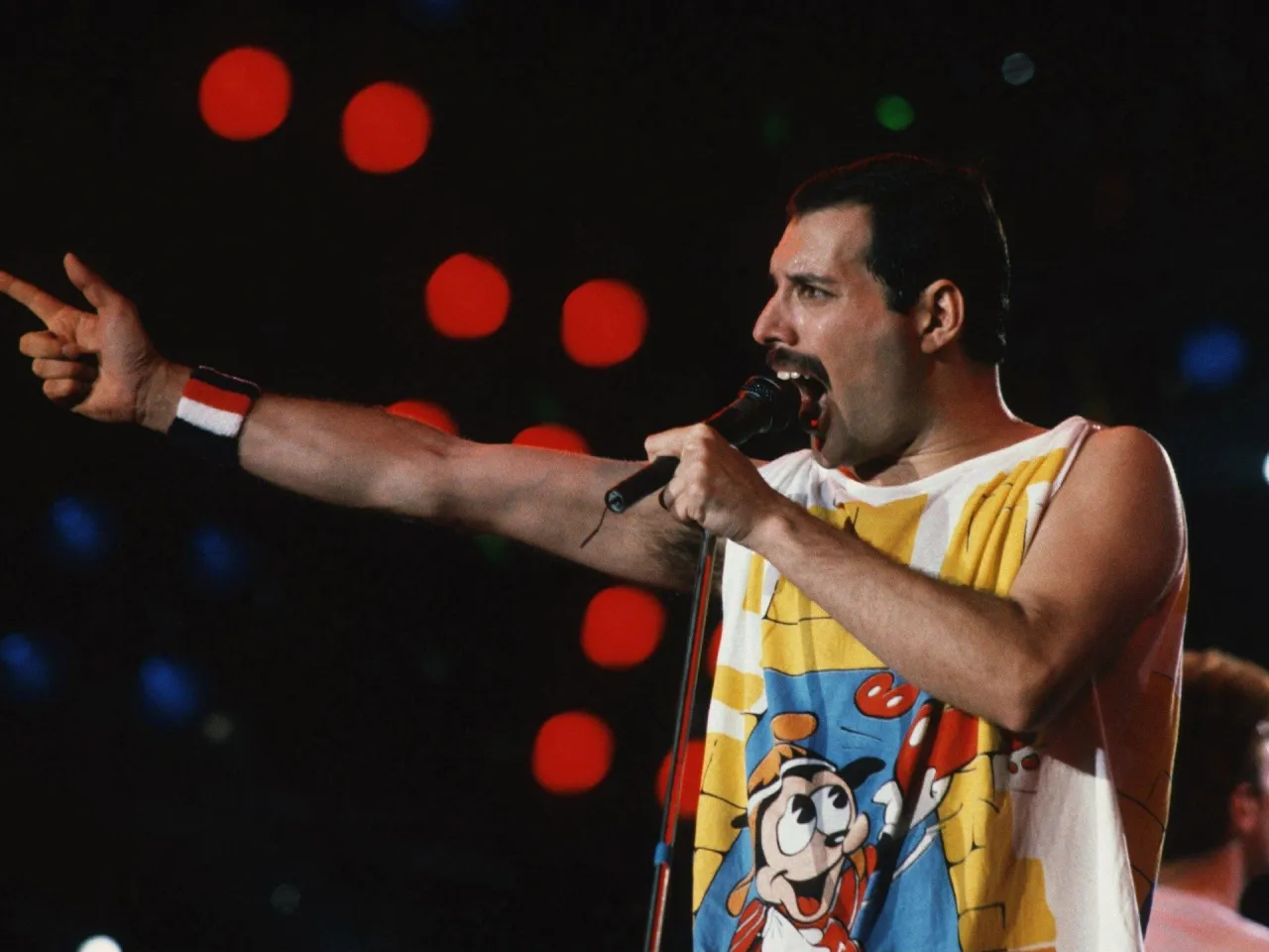 Zdjęcie Freddie mercury usłyszał, że nie będzie gwiazdą: wiemy od kogo