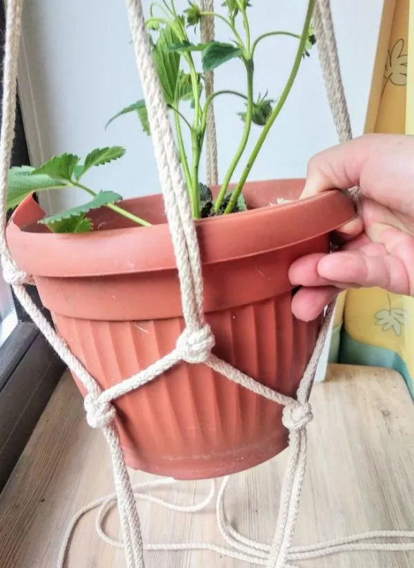Zdjęcie Jak zrobić kwietnik ze sznurka jutowego? Prosty tutorial DIY