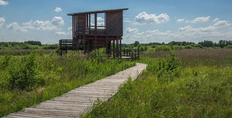 Zdjęcie Granica Kampinos atrakcje, które musisz zobaczyć w Kampinosie