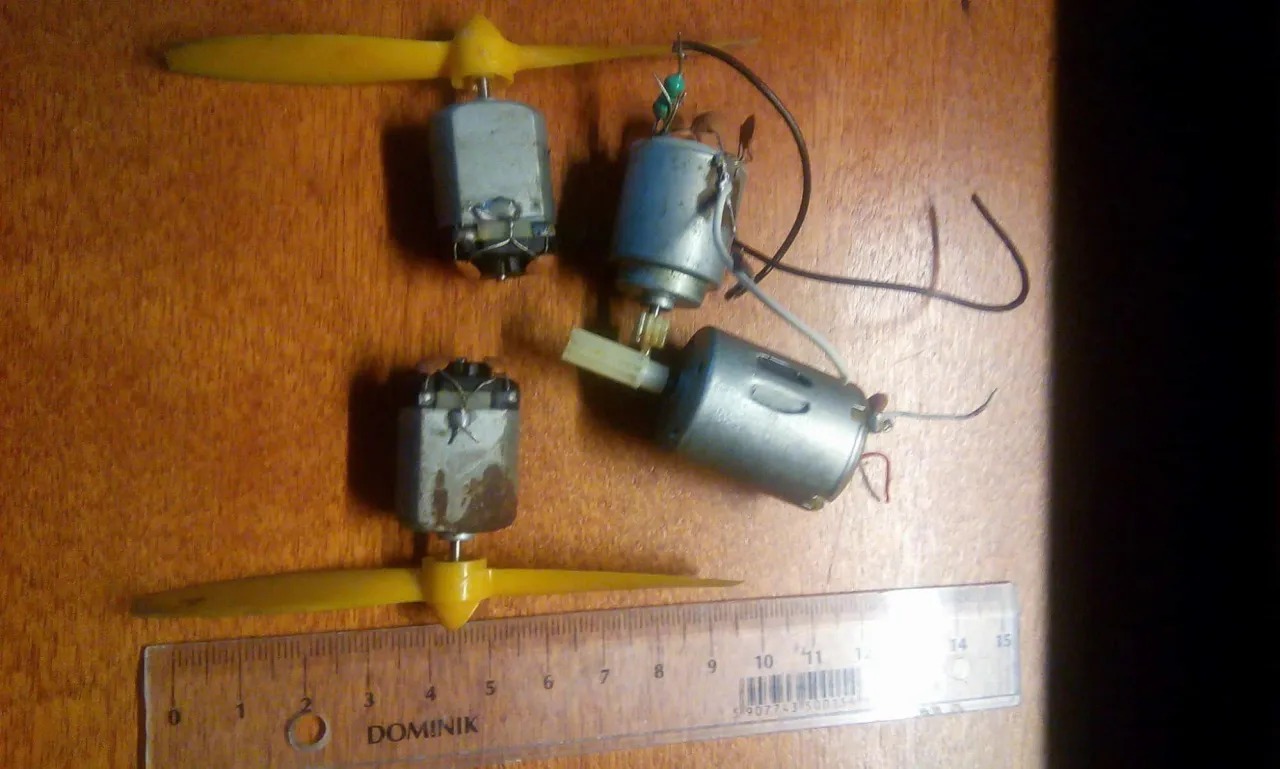 Zdjęcie Małe silniczki elektryczne w rolnictwie: co warto wiedzieć przed zakupem