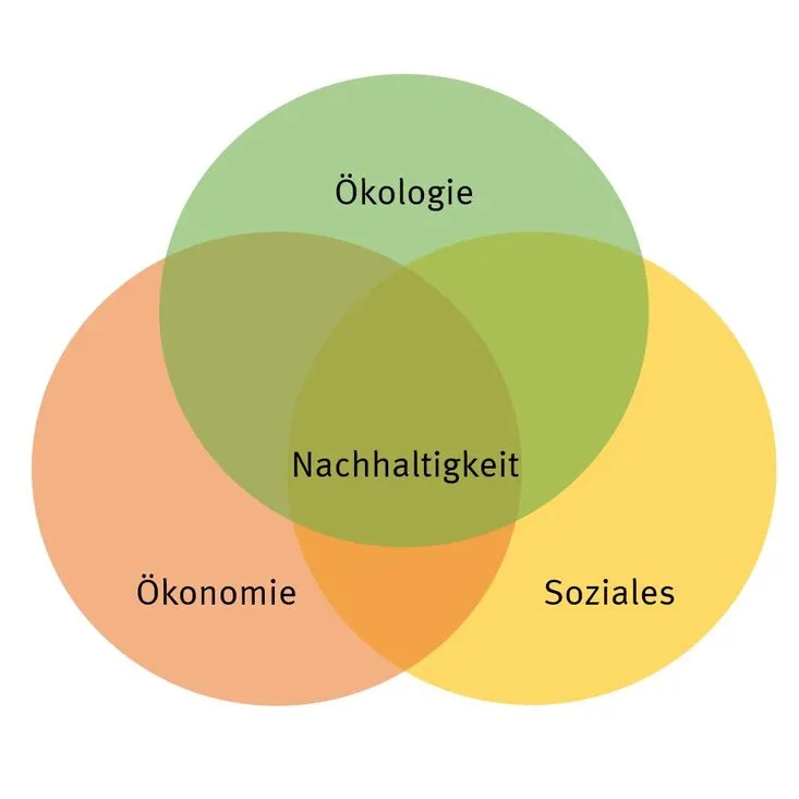 Zdjęcie Ökonomie und Ökologie im Unterricht: Spannungen verstehen und lösen