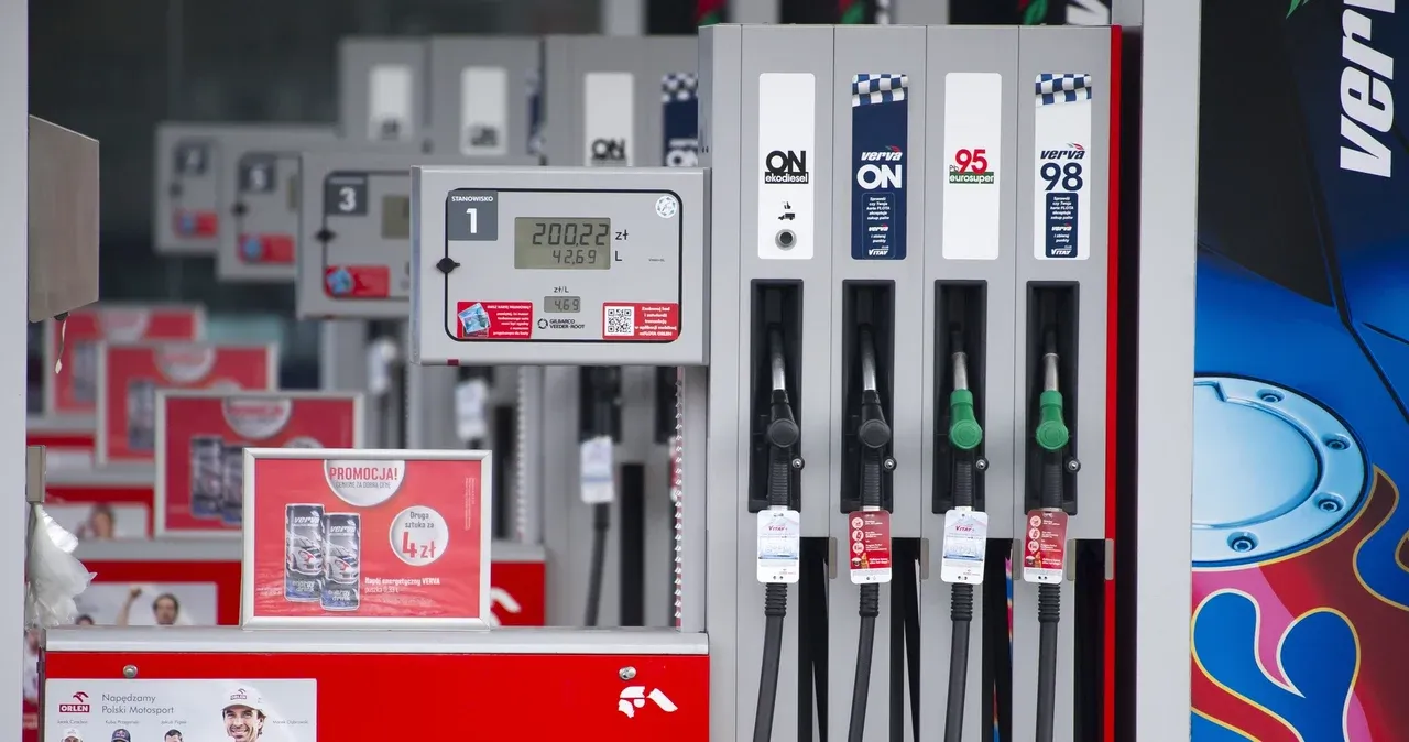 Zdjęcie Efecta 95 benzyna czy diesel - który wybór jest bardziej opłacalny?
