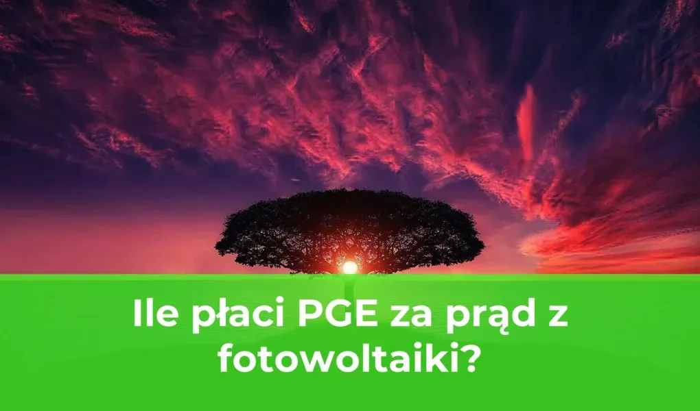 Zdjęcie Ile PGE płaci za prąd z fotowoltaiki? Sprawdź stawki i korzyści dla prosumentów