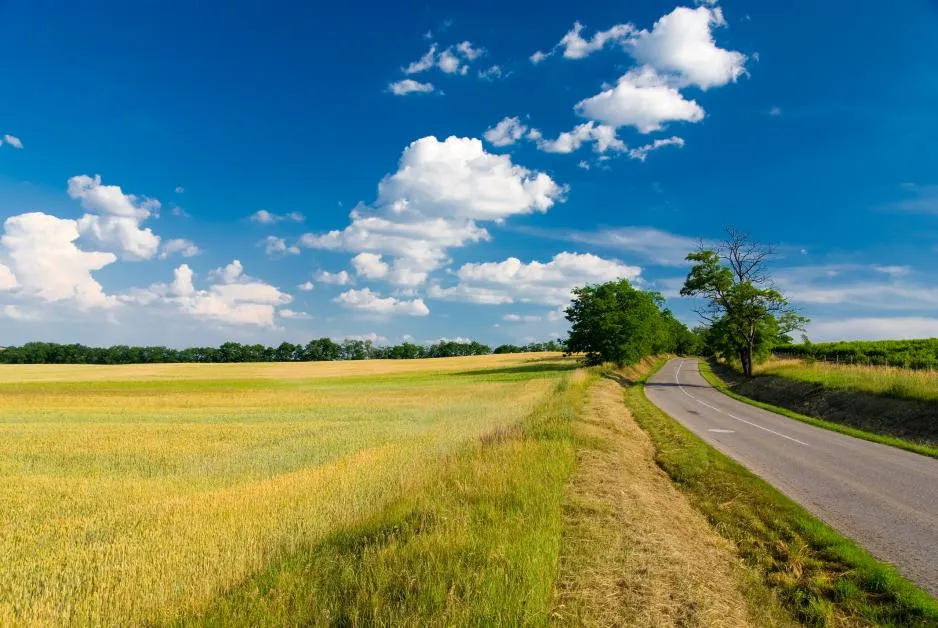 Zdjęcie Opłata za przejazd autostradą - jak prawidłowo księgować wydatki
