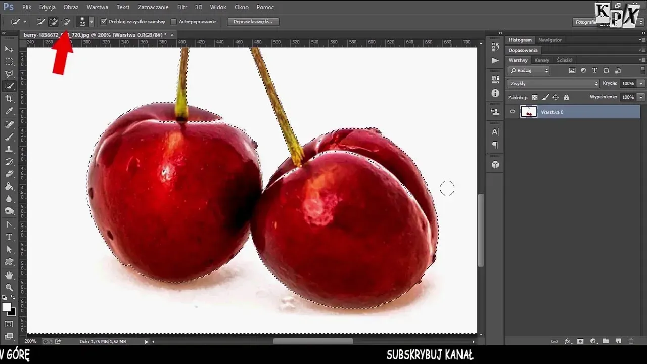 Zdjęcie Jak zmienić grafikę rastrową na wektorową w Photoshopie bez problemów