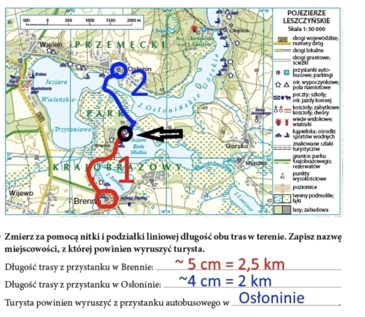 Zdjęcie Gdzie się zatrzymuje Polonus? Sprawdź przystanki i trasy!