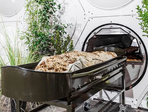 Zdjęcie Co zamiast kremacji? Poznaj alternatywy, które mogą zaskoczyć