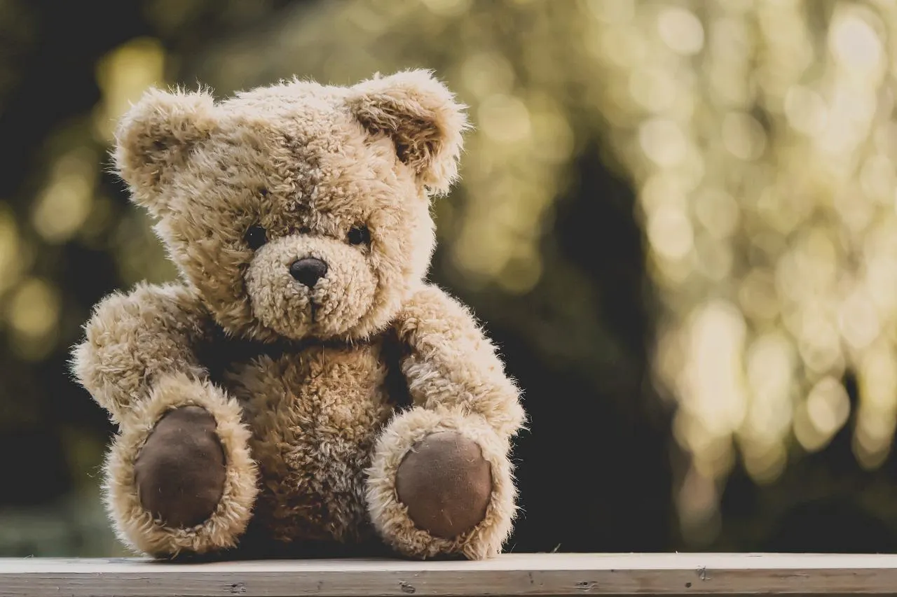 Zdjęcie Jak bezpiecznie wyczyścić pluszowe zabawki grające: 5 sprawdzonych metod