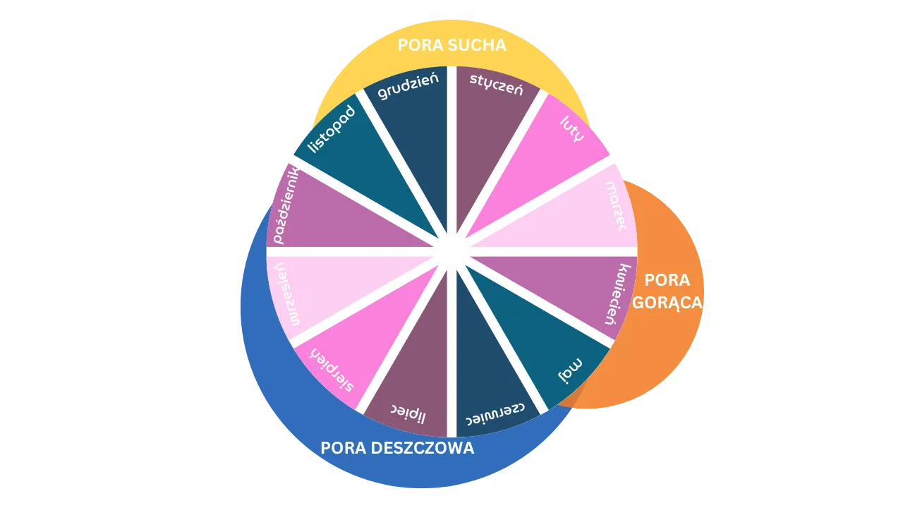 Zdjęcie Przewodnik po pogodzie w różnych miesiącach w Tajlandii dla turystów