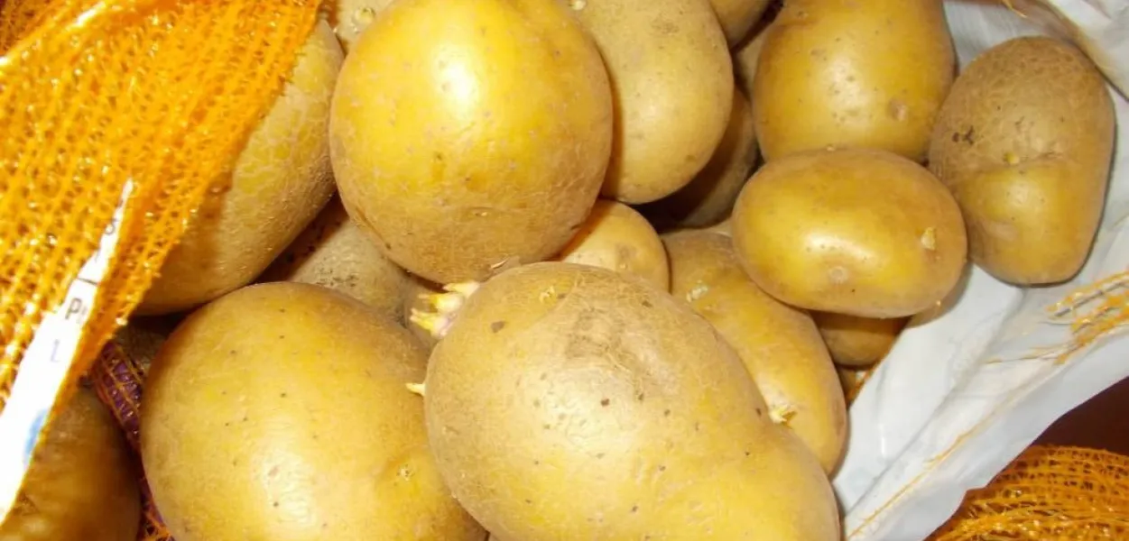 Zdjęcie Przew&oacute;z ziemniak&oacute;w do Niemiec: Czy to legalne? Uniknij kary!