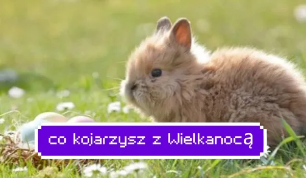Zdjęcie Co kojarzy się z wielkanocą? Odkryj symbolikę i tradycje świąteczne