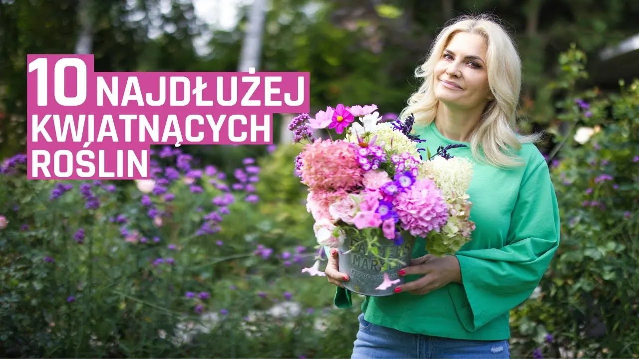 Zdjęcie Jakie kwiaty ogrodowe kwitną najdłużej? Odkryj piękno przez cały sezon