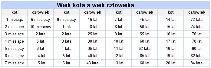 Zdjęcie Poznaj dokładny przelicznik wieku kota na ludzkie lata - wszystko o 8 latku