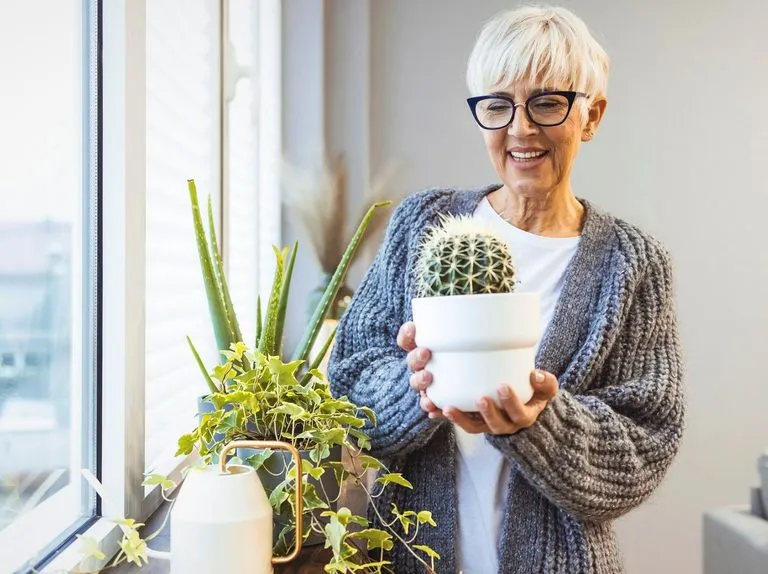 Zdjęcie Co oznacza kaktus w prezencie? Przesądy i pozytywne symbole