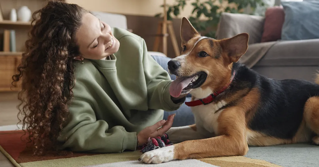 Zdjęcie Co ile odrobaczać psa, aby zapewnić mu zdrowie i bezpieczeństwo?